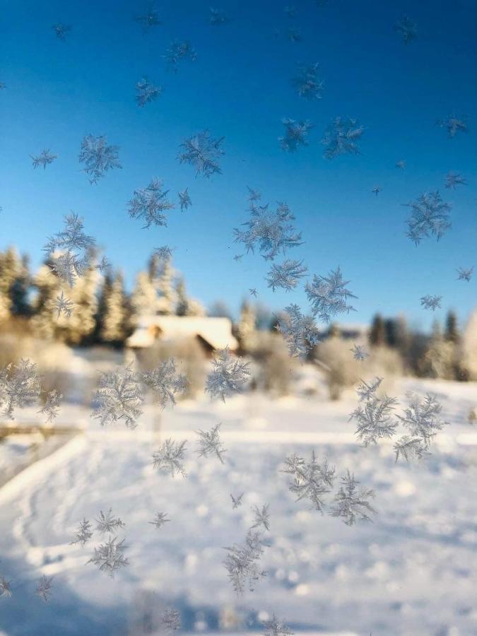 Velo Apartamenty Czorsztyn Exteriér fotografie